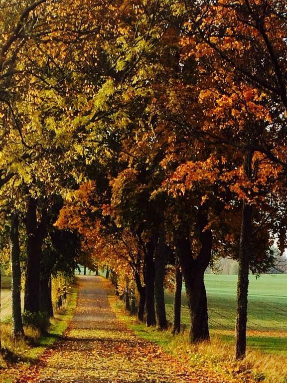 Stora Djuloe Vandrarhem Katrineholm Dış mekan fotoğraf