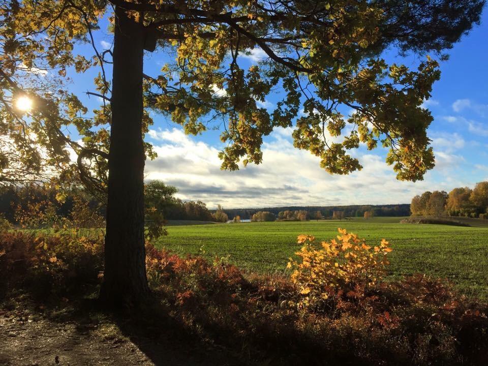 Stora Djuloe Vandrarhem Katrineholm Dış mekan fotoğraf