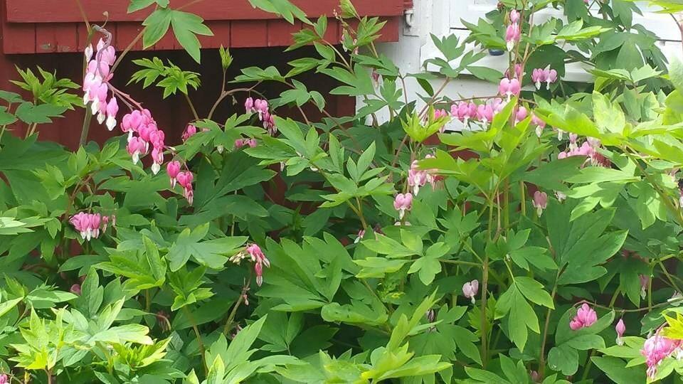 Stora Djuloe Vandrarhem Katrineholm Dış mekan fotoğraf