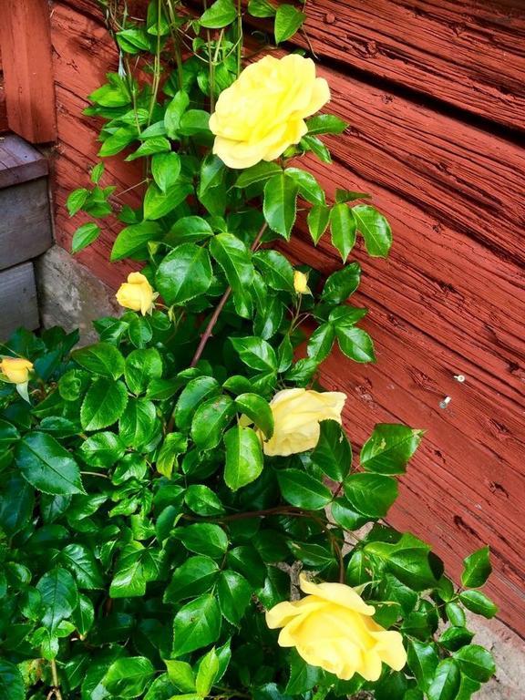 Stora Djuloe Vandrarhem Katrineholm Dış mekan fotoğraf