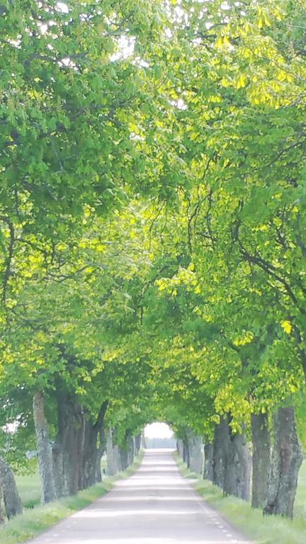 Stora Djuloe Vandrarhem Katrineholm Dış mekan fotoğraf